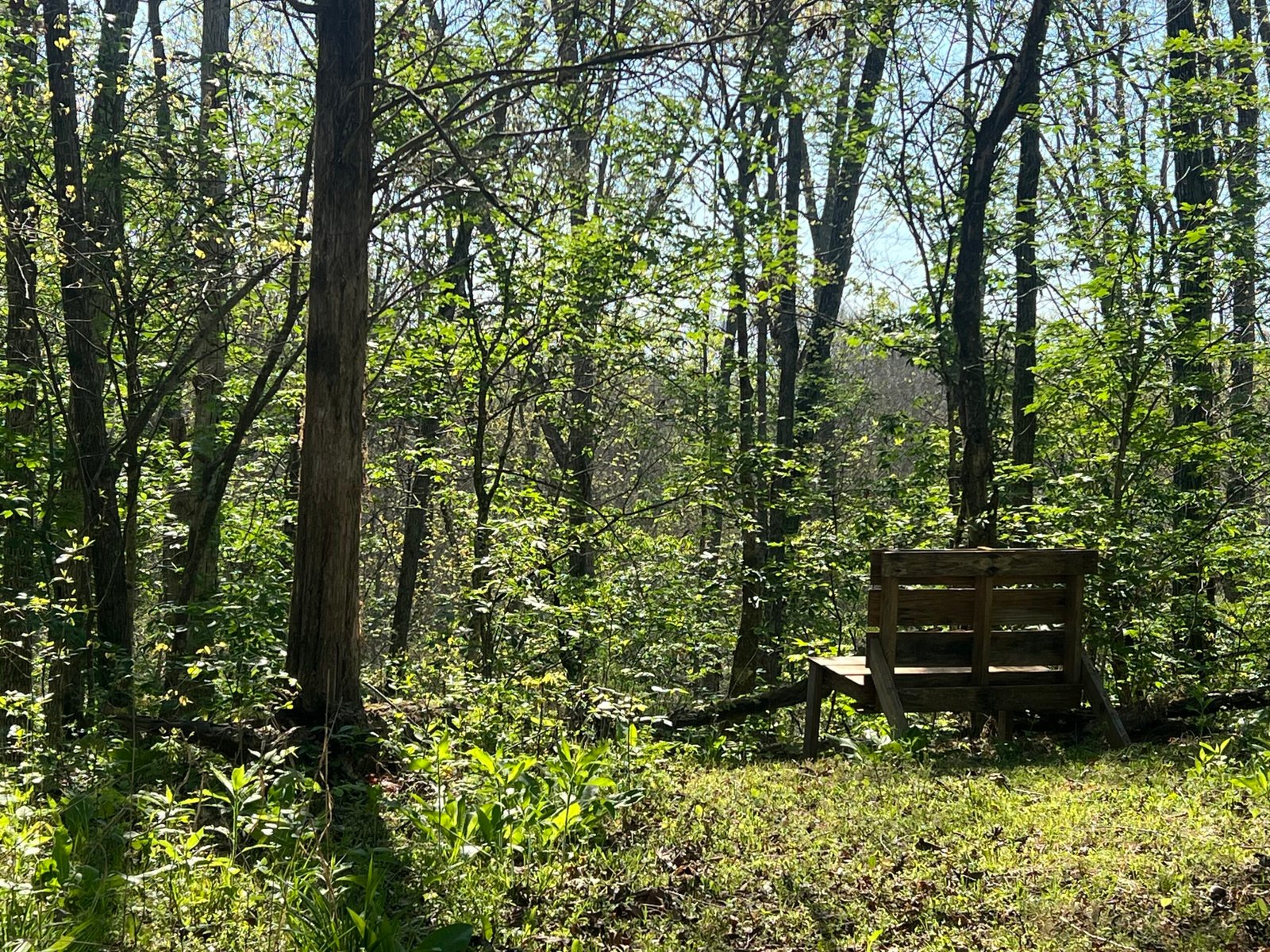 Sit Spot at the nature retreat in Greeneville TN