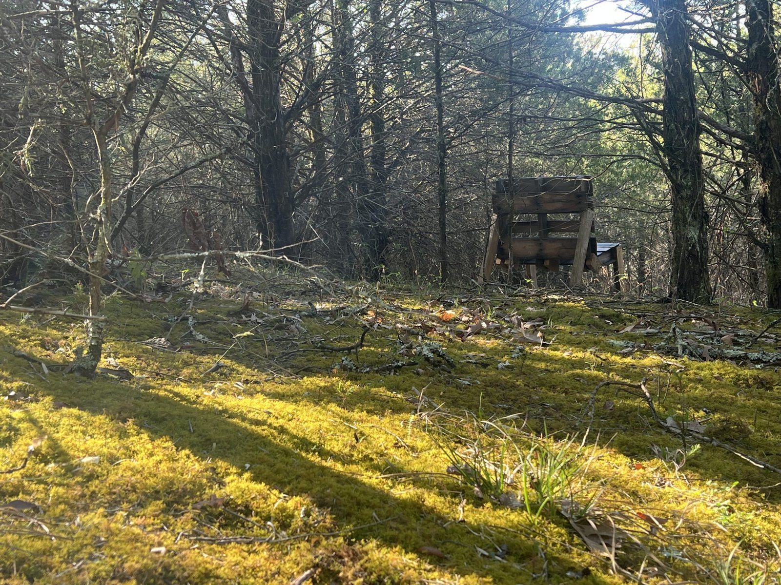 Sit and think under the trees.
