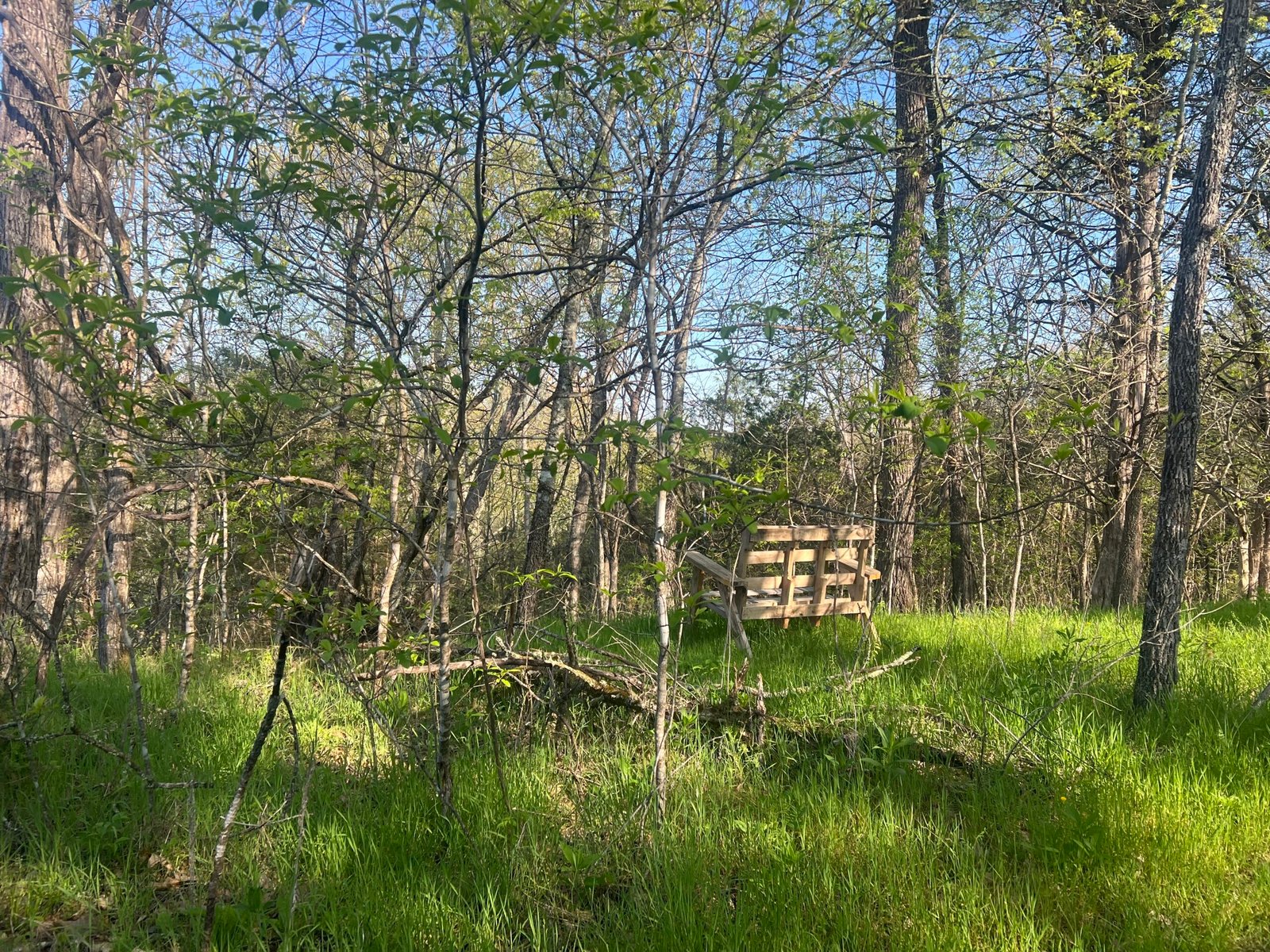 Bench on the ridge, part of the Sit Spot Network at Wild Woods Retreat & Farm