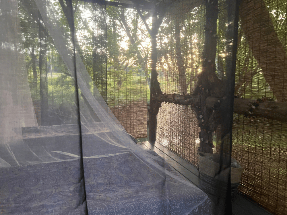 Shades and screens at Otter Beach Treehouse cozy treehouse greeneville tn