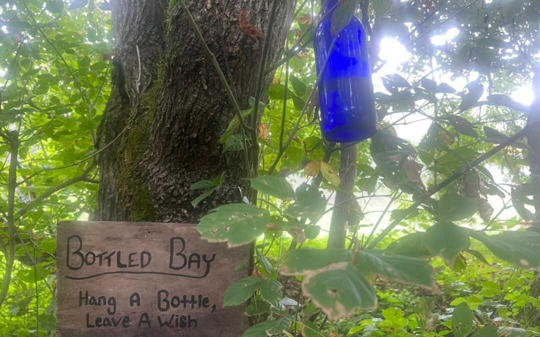Bottled Bay: The Wish Tree Along Our Creek