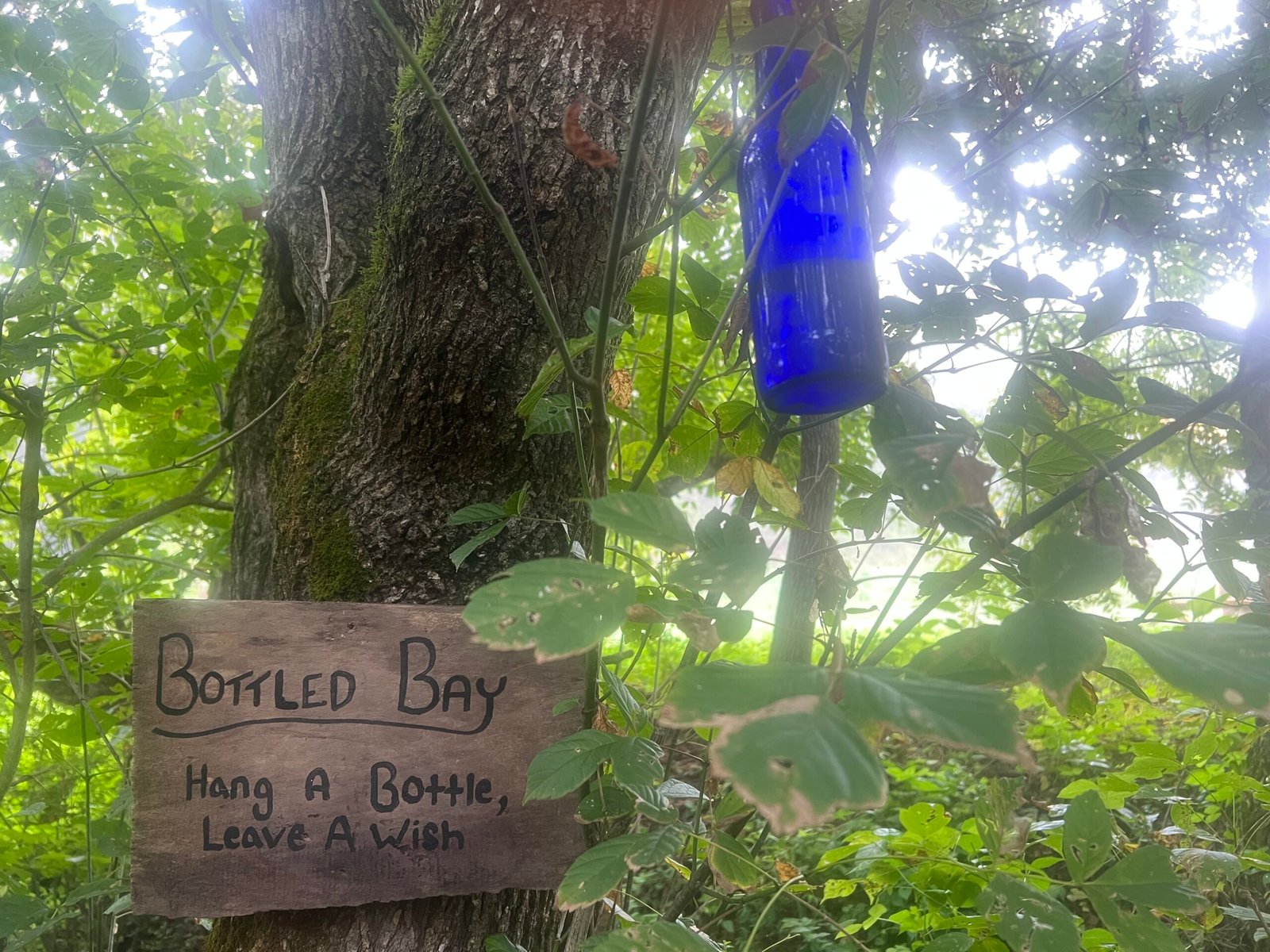 Hand-painted Bottled Bay sign and blue glass wish bottle hanging in a tree along the creek at Wild Woods Retreat & Farm