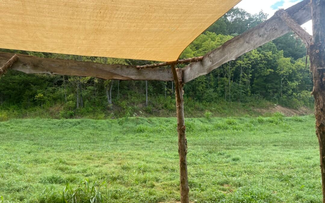 A New Gathering Space Is Going Up in the Pasture at Wild Woods