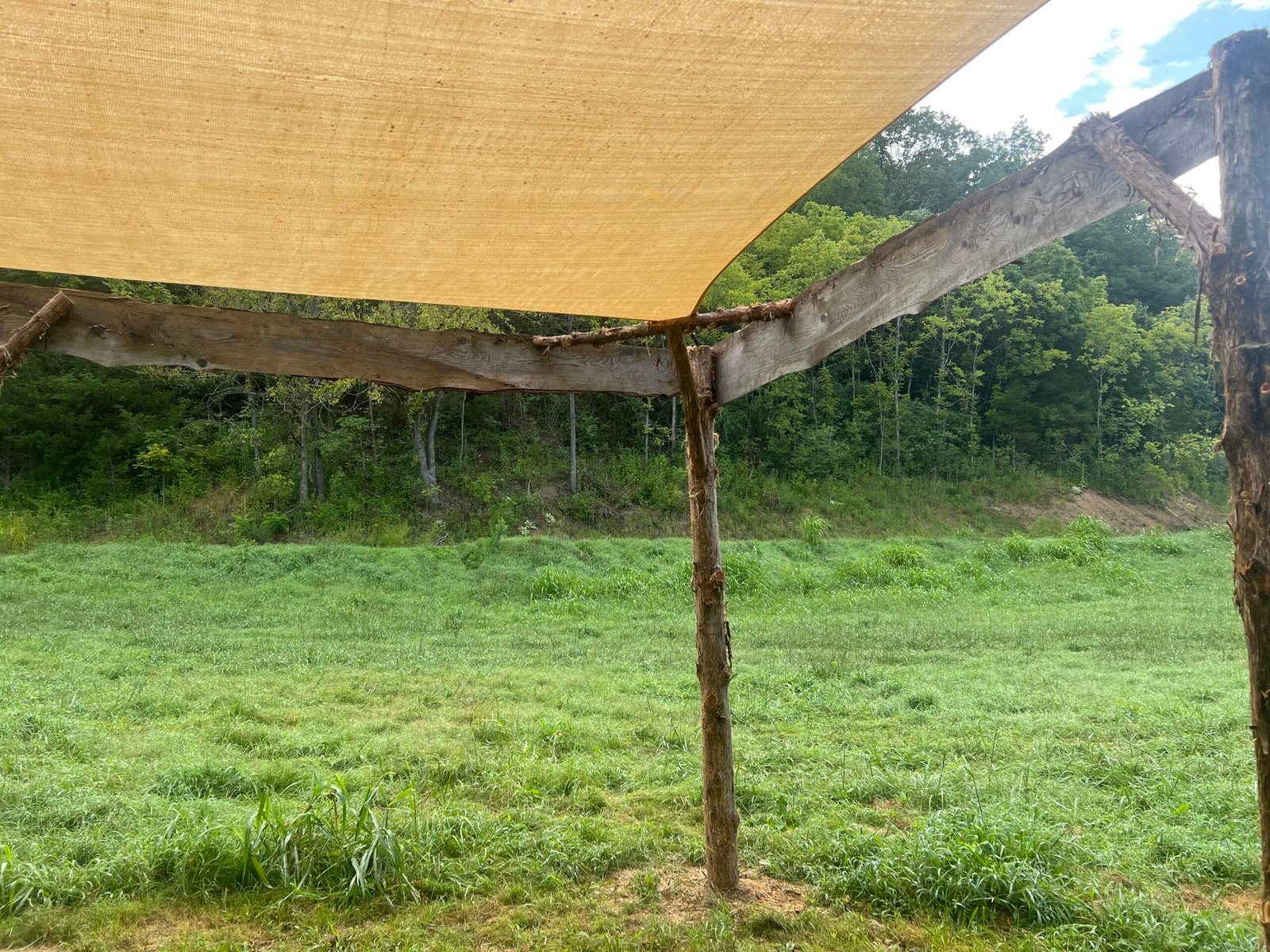 Pavilion in the pasture